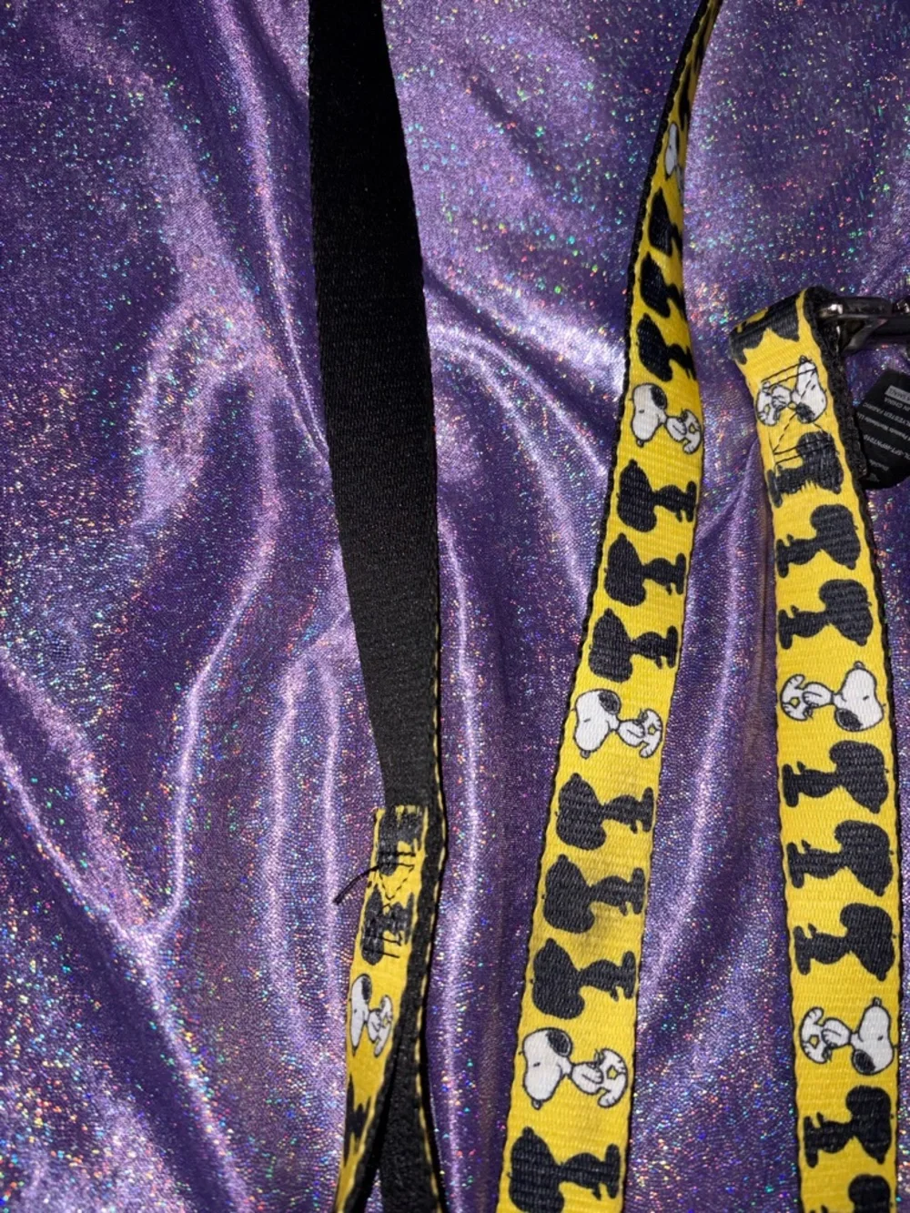 Snoopy Dog Leash
